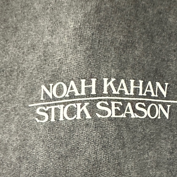 Noah Kahan Stick Season tour sweatshirt 2023 Stone Gray Hoodie sz large | EUC - Picture 2 of 8
